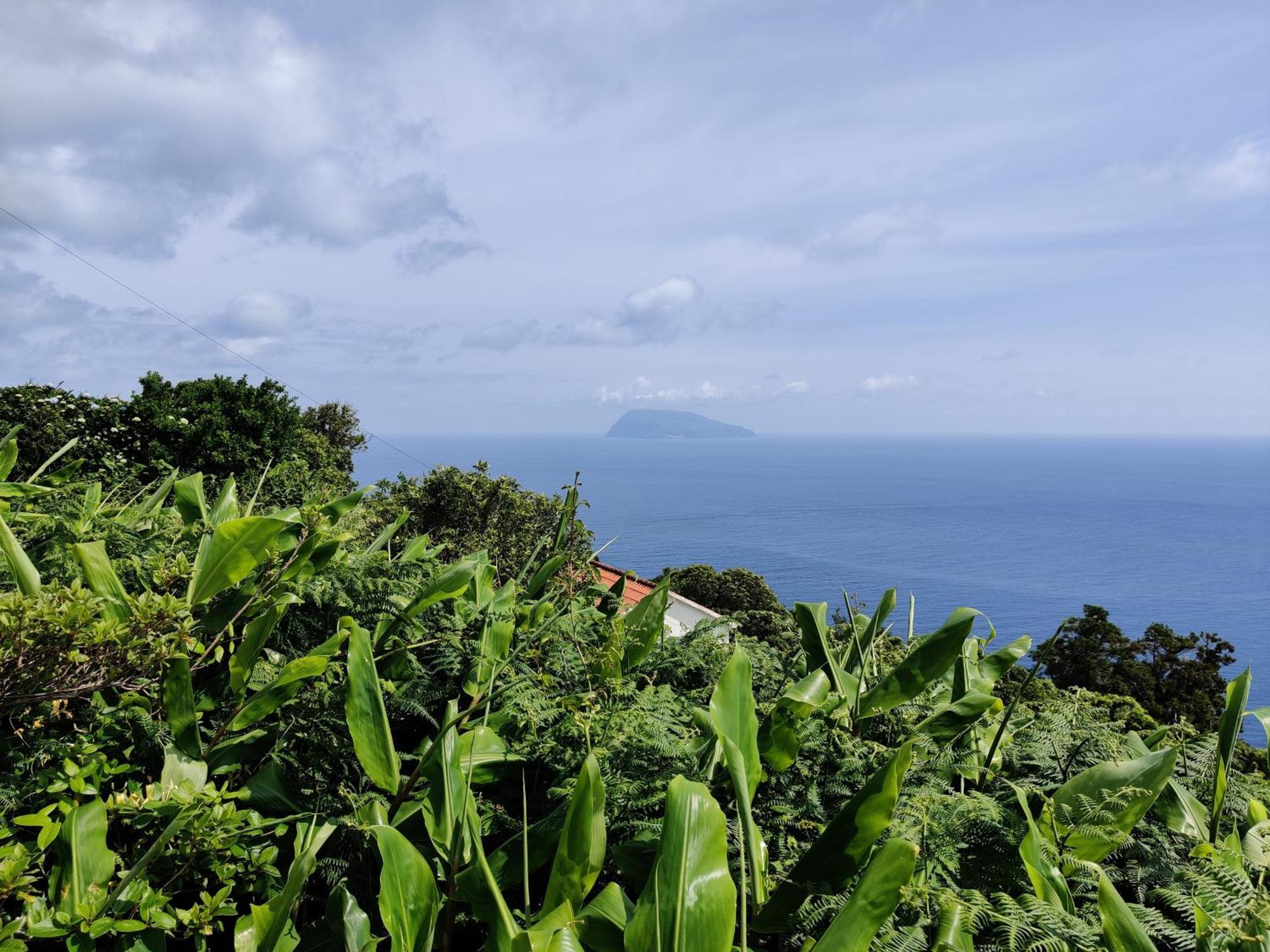 Ocean View Cedros Villa Santa Cruz das Flores Esterno foto